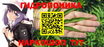 дмт Абинск