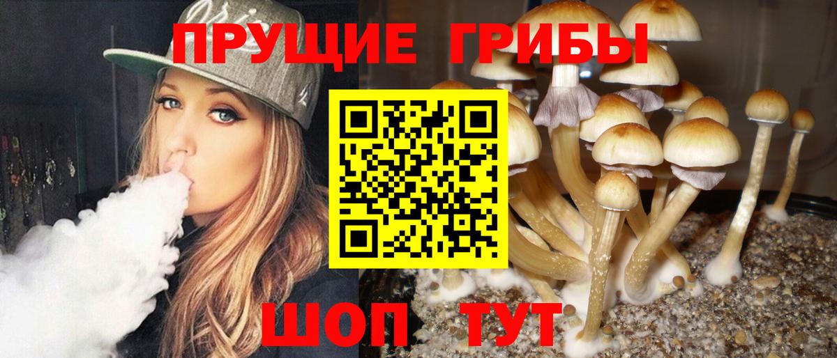 Псилоцибиновые грибы MAGIC MUSHROOMS Азнакаево