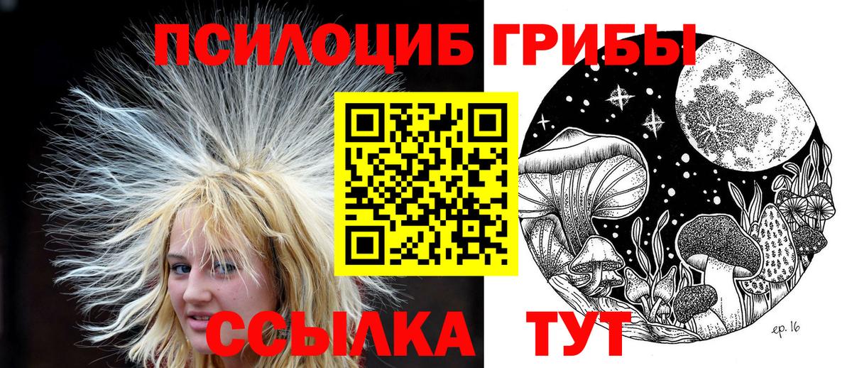 Псилоцибиновые грибы Cubensis  Галлюциногенные грибы Psilocybe  Азнакаево  купить закладку  Вход с VPN 